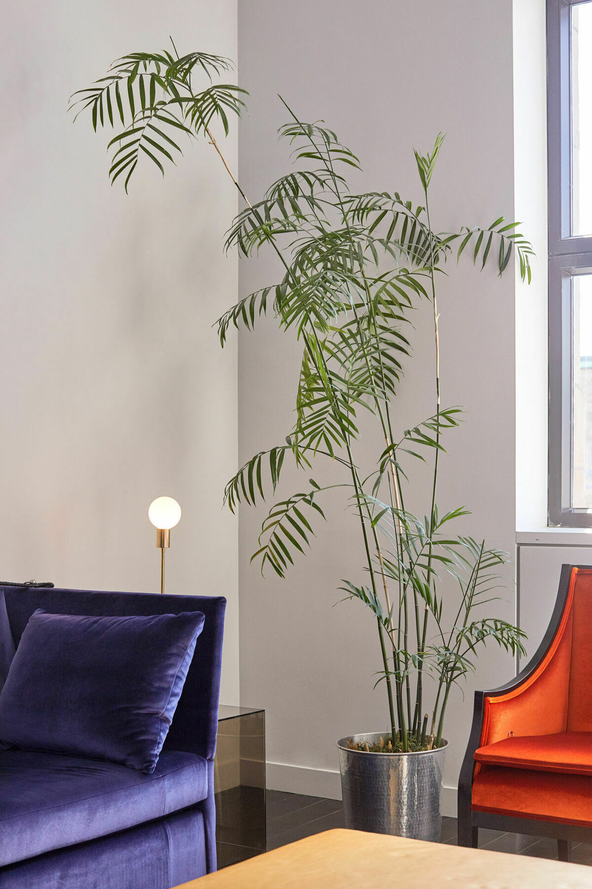 Hotel St Paul, Montreal, A Member Of Design Hotels Interieur foto
